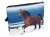 kosmet.galop.jpg
