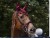 nauszniki_qhp_florence_bordowe.JPG