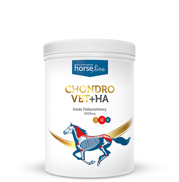 HorseLine-Chondro-Vet-HA-624x632.png
