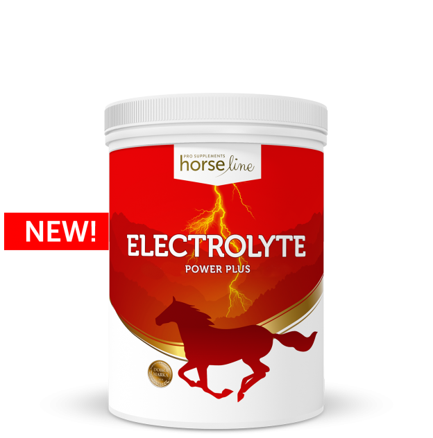 HorseLinePRO-Electrolyte-new-624x632.png