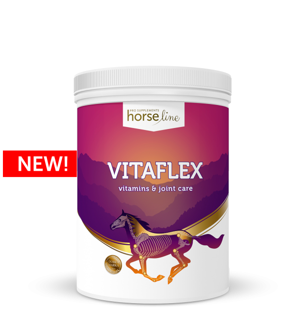 HorseLinePRO-VitaFlex-new-624x632.png