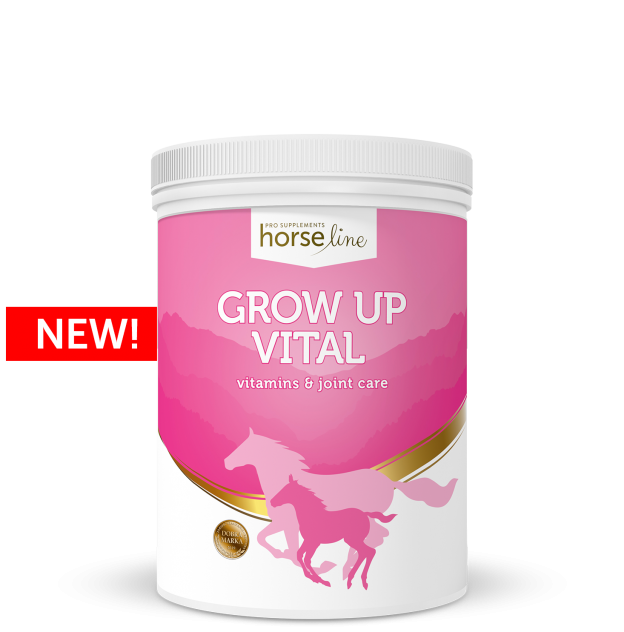 HorseLinePRO-GrowUp-Vital-new-624x632.png