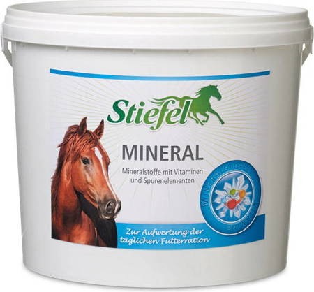 pol_pm_Mineral-Stiefel-preparat-witamin-mineralny-3627_1.jpg