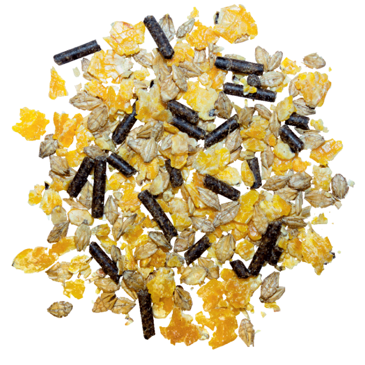 Cornmusli (1).jpg
