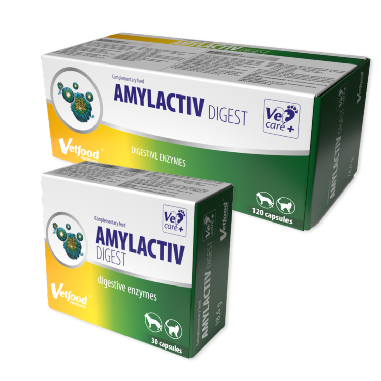 Amylactive-digest.png