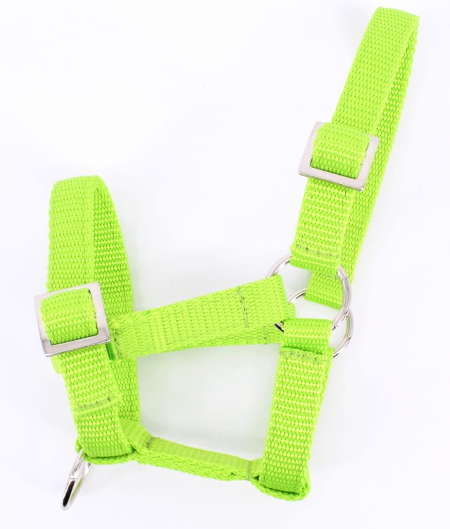 img-0165_big.jpg