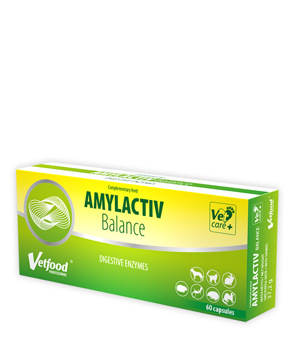 Amylactiv Balance 60 na stronę Recovet kopia.png