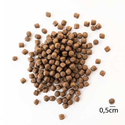 puppy-karma-z-lososiem-dla-szczeniat-male-rasy-1kg (1).jpg