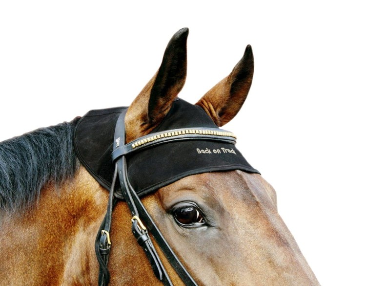 ochraniacz-terapeutyczny-na-potylicę-Back-on-Track-B20_430_001 (1).jpg