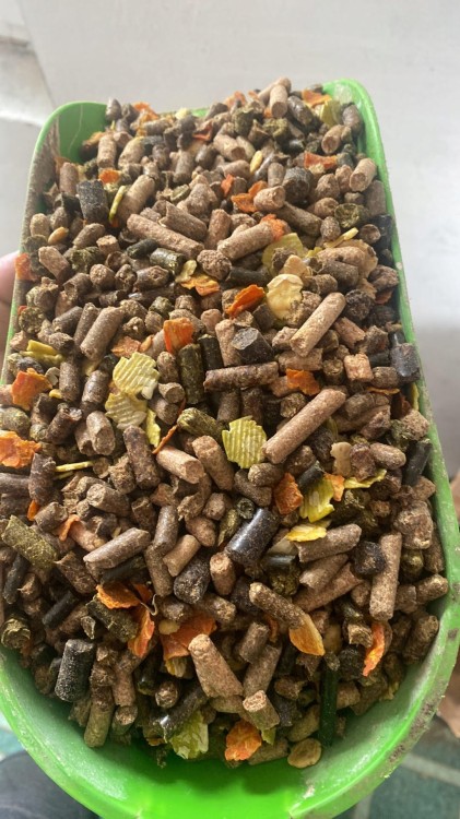 Pasza-Energys-MASH-dla-koni-20kg.jpg