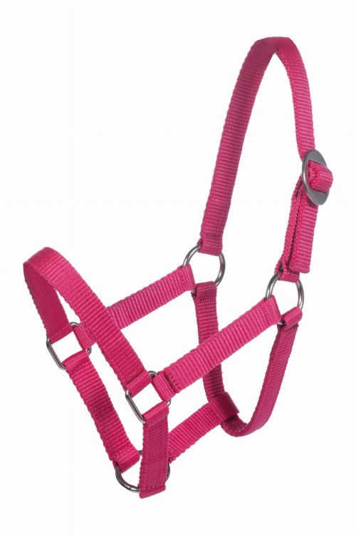 kantar-mini-shetty-różowy-HKM-4159_3900.jpg