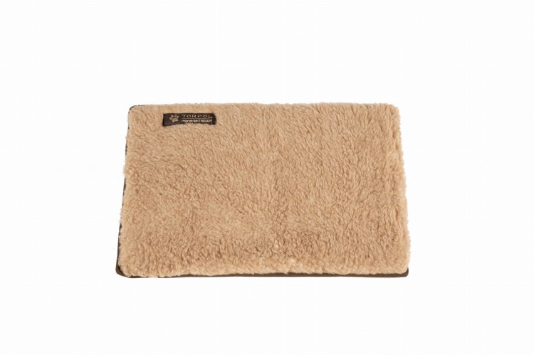 Magnetic-Pet-Pad-Maneto-Nelson.jpg