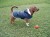 91985_Application_image_84933__1__5e56.jpg