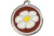 01-DA-BR.webp