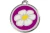 01-DA-PU.webp