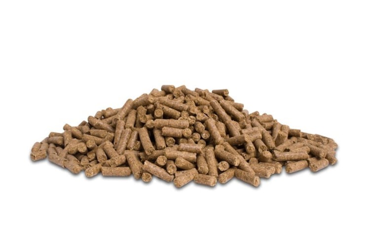 dodson-horrell-build-up-cubes-20kg-pasza-dla-koni-wspierajaca-przyrost-masy-miesniowej (1).jpg