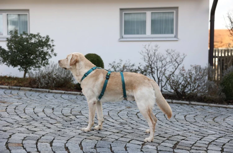 181103_Anwendungsbild__80043_39f9.jpg