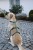 181102_Anwendungsbild__80043_1d19.jpg