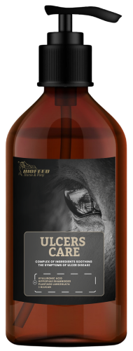pol_pl_Suplement-dla-koni-wrzodowych-BIOFEED-Horse-Pony-Ulcers-Care-1-l-1616_1.png