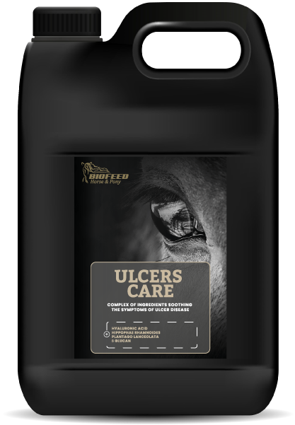 pol_pl_Suplement-dla-koni-wrzodowych-BIOFEED-Horse-Pony-Ulcers-Care-4-5-l-238_1.png