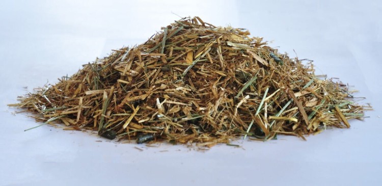 dengie-cool-condition-shine-20-kg-sieczka-dla-koni-wspierajaca-przyrost-masy-miesniowej (1).jpg