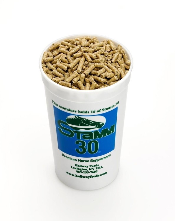 saracen-stamm-30-concentrate-20kg-pasza-dla-koni-wyczynowych-i-hodowlanych-koncentrat (1).jpg