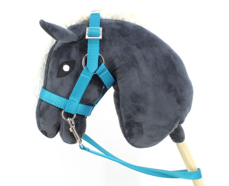 kantar-hobby-horse-morski.jpg