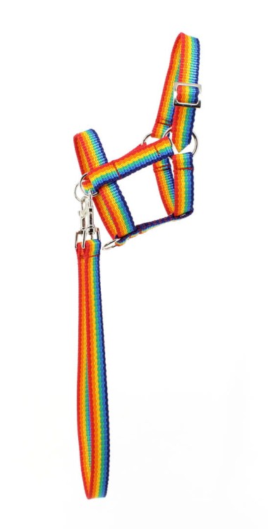 kantar-hobby-horse-tęczowy-1.jpg