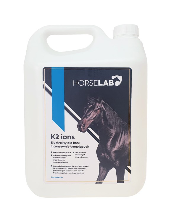 horse lab 5L (004).jpg