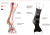 Equi-Compress-system.PNG
