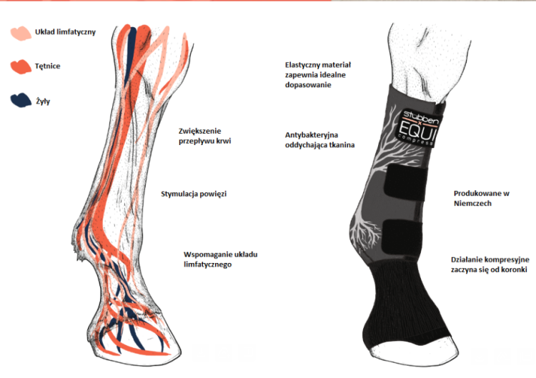 Equi-Compress-system.PNG