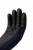 A9X7T_561_04.jpg