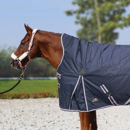 Derka-Horsenjoy-Aristo-High-Neck-250-g-135_2.jpg