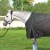 Derka-Horsenjoy-Aristo-100-g-148_2.jpg
