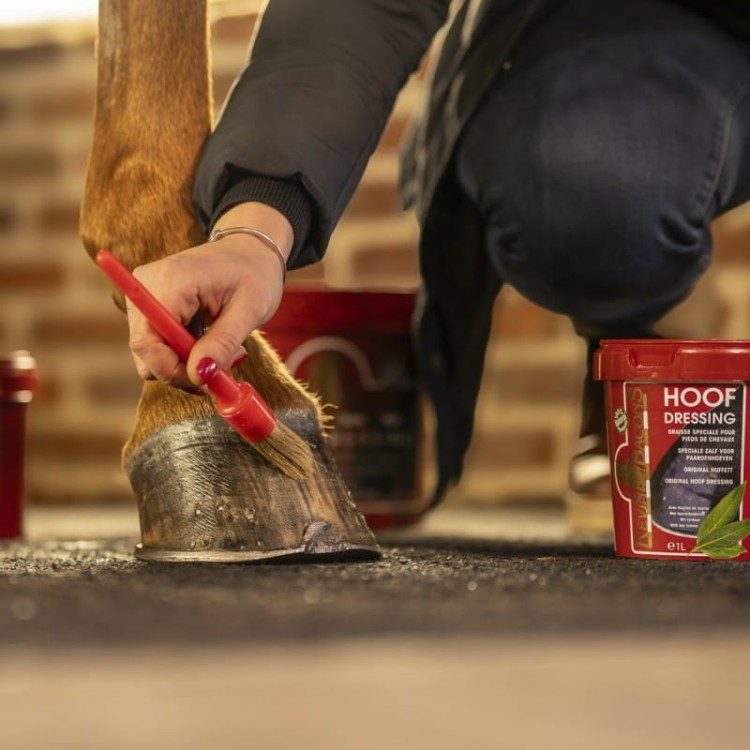 kevin-bacon-s-hoof-dressing-winter-hoof-grease.jpg