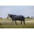 riding-world-eco-600d-rug-combo (5).jpg