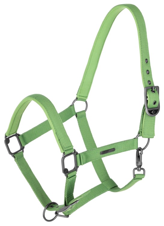 223884_Hauptbild _3229672.jpg