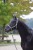 175521_Anwendungsbild__3224736_046b.jpg