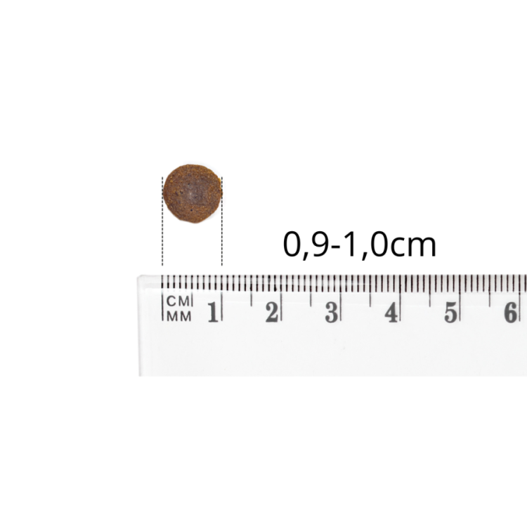 baltica-szczeniak-jagniecina-z-cielecina-sxl-6kg (1).jpg