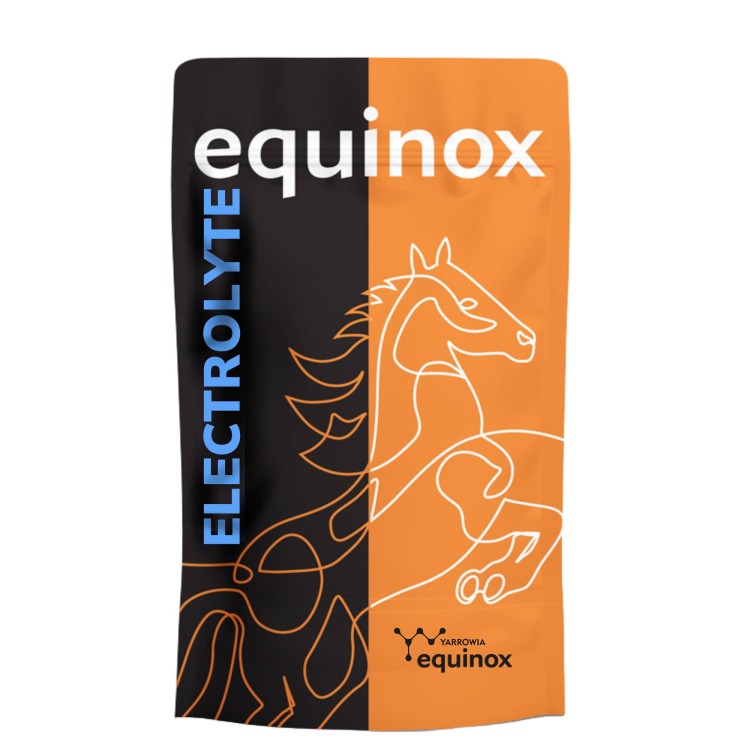 EQUINOX Electrolyte.jpg