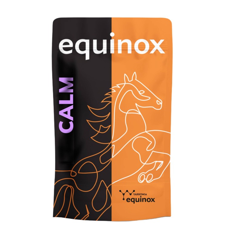 EQUINOX Calm.jpg
