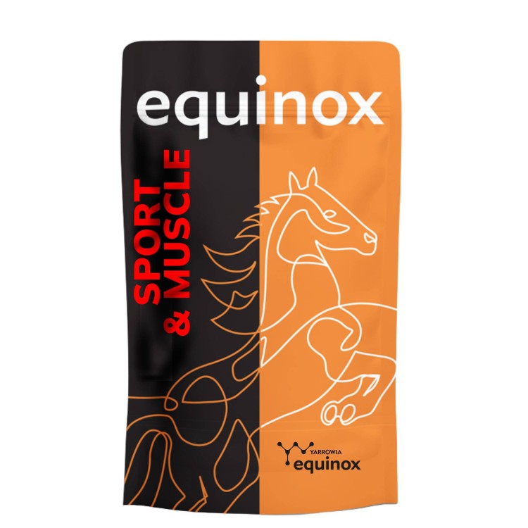 EQUINOX Sport&Muscle.jpg