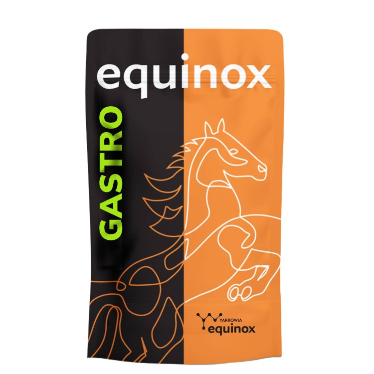 EQUINOX Gastro.jpg