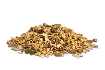 dodson-horrell-sixteen-plus-mix-20kg-pasz-dla-koni-starszych (1).webp