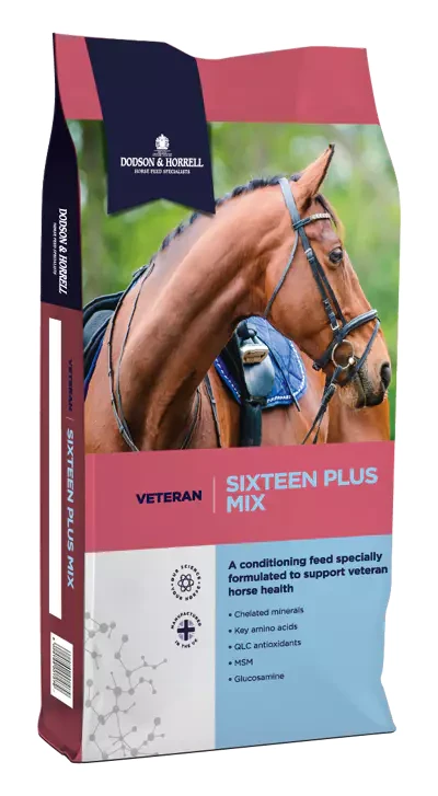 dodson-horrell-sixteen-plus-mix-20kg-pasz-dla-koni-starszych.webp