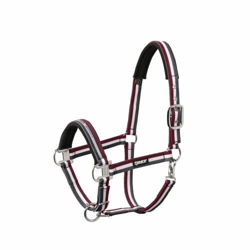 bordo.jpg