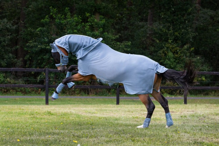 derka_siatkowa_Eskadron_Fly_Detach_Neck_Classic_Sports_2025_steel_bleu.jpg