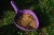 704153015_ambi_1_web.jpg