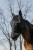 306022203_ambi_1_web.jpg