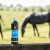 726016050_ambi_2_web.jpg